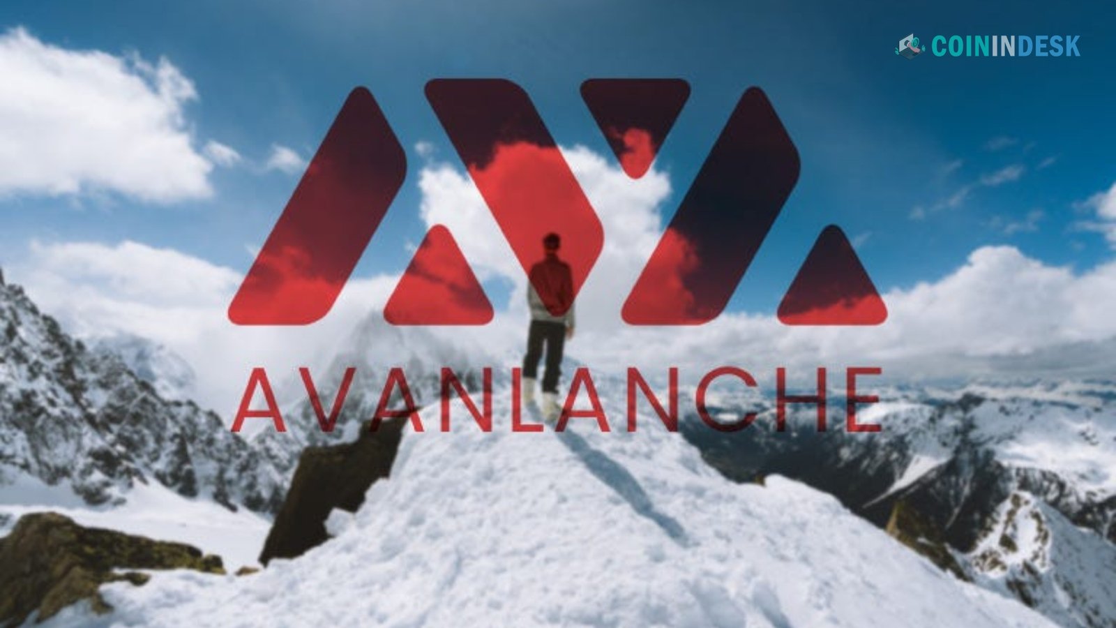 Avalanche: The Versatile Network