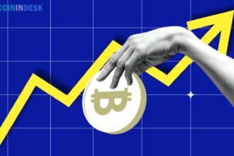 Bitcoin Bull Run Prediction: Next crypto surge, how long?