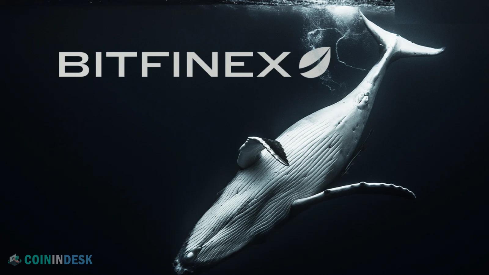 Bitfinex Cold Wallet