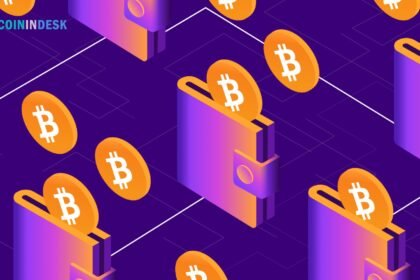 Safest Crypto Wallets of 2024: Best Options for Bitcoin Storage