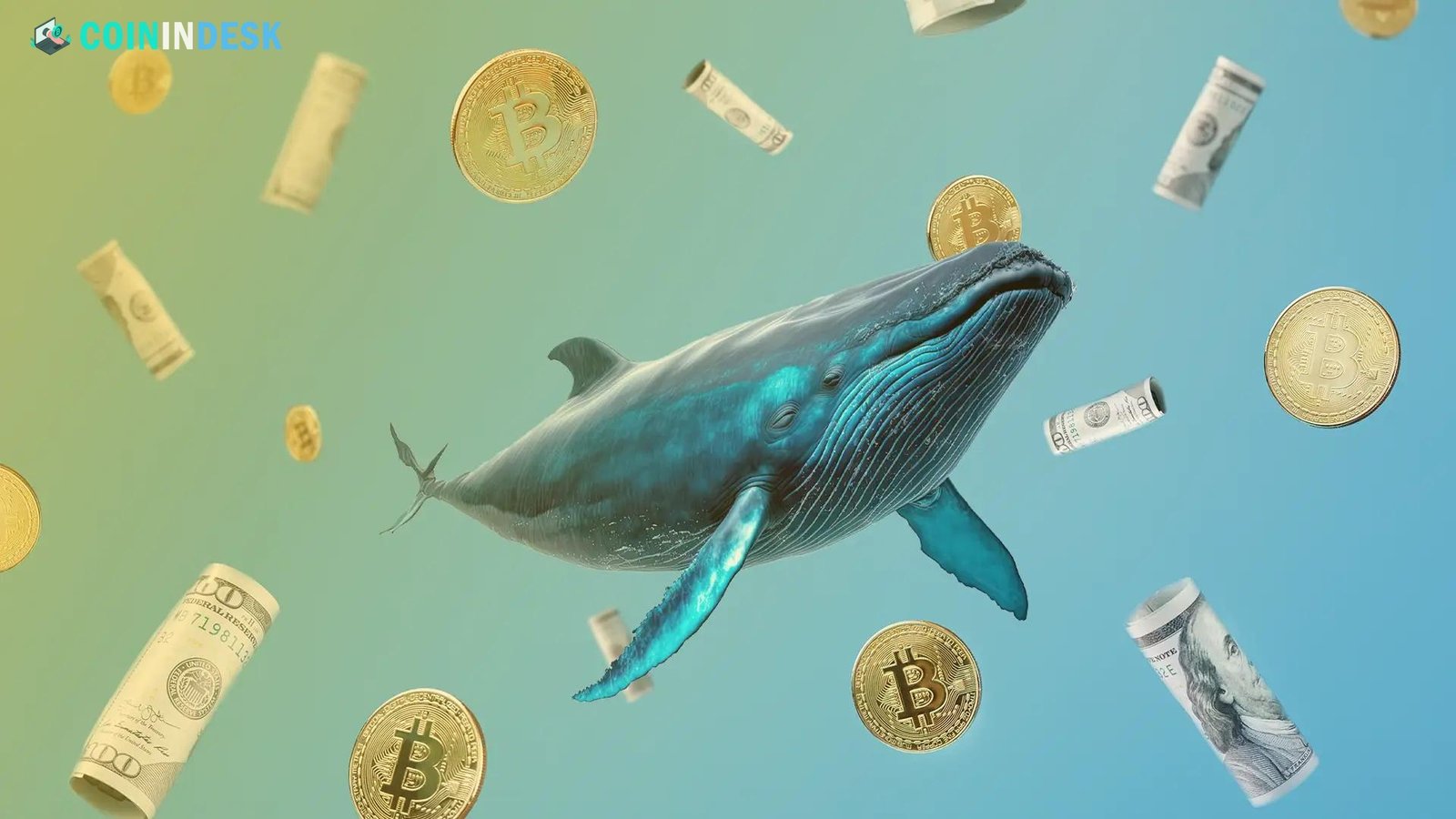 The Impact of Bitcoin Whales on the Market