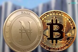 Convert Bitcoin to Nigerian Naira: BTC to NGN Live Rates &Tools