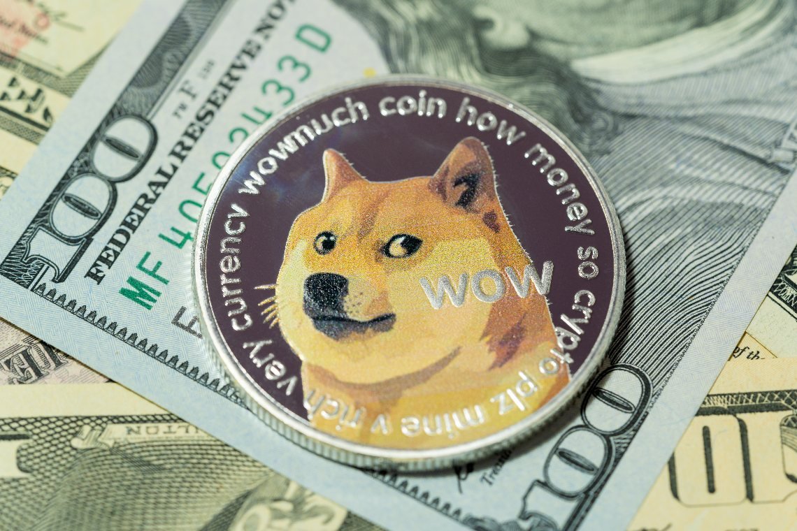 Future of Dogecoin