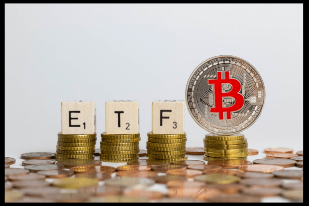 December Bitcoin ETFs Grow