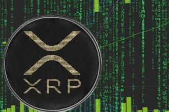 XRP Price Up or Down