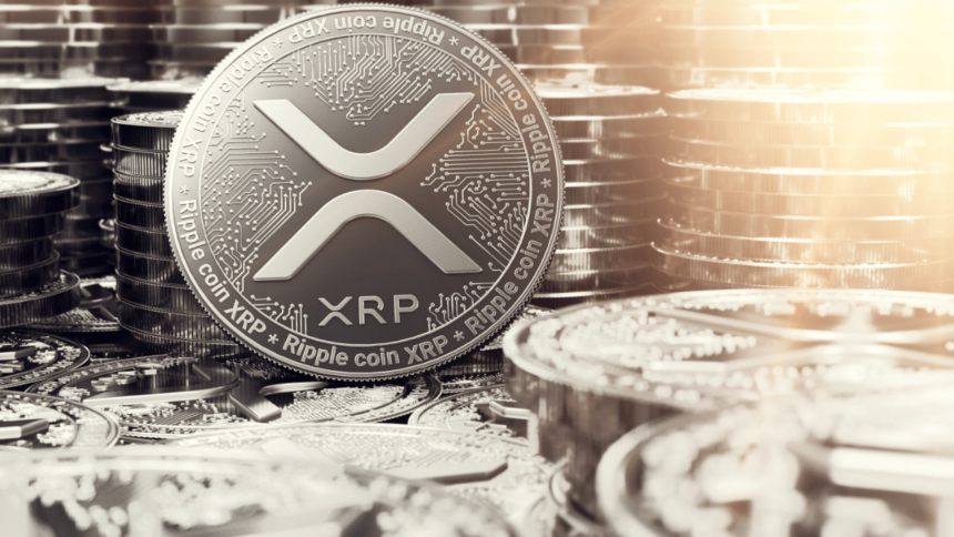 XRP Whale Transactions