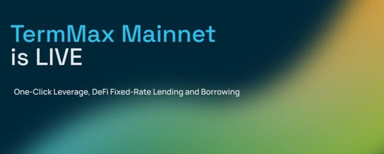TermMax fixed-rate DeFi