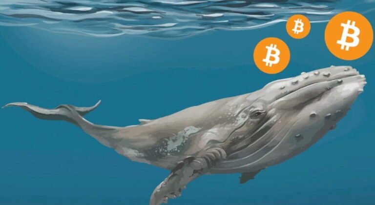 Bitcoin whale 2k BTC transaction