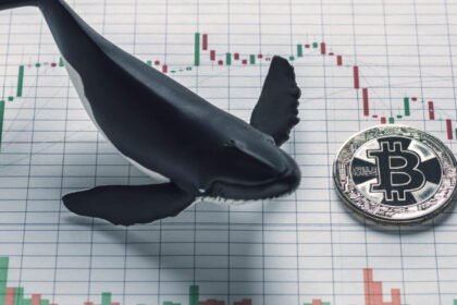 Whale Activity in Crypto