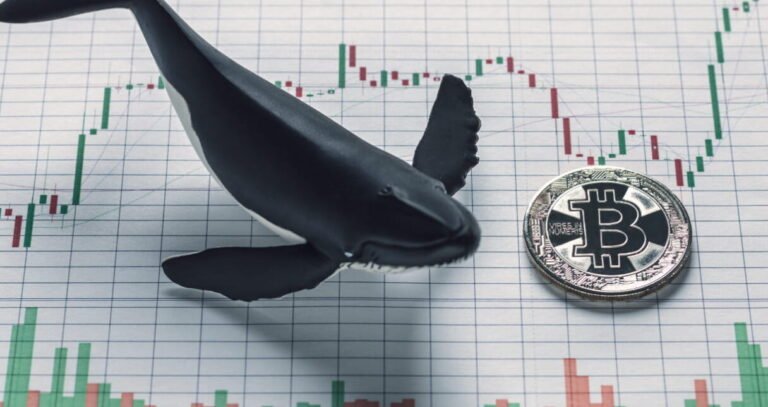 Whale Activity in Crypto