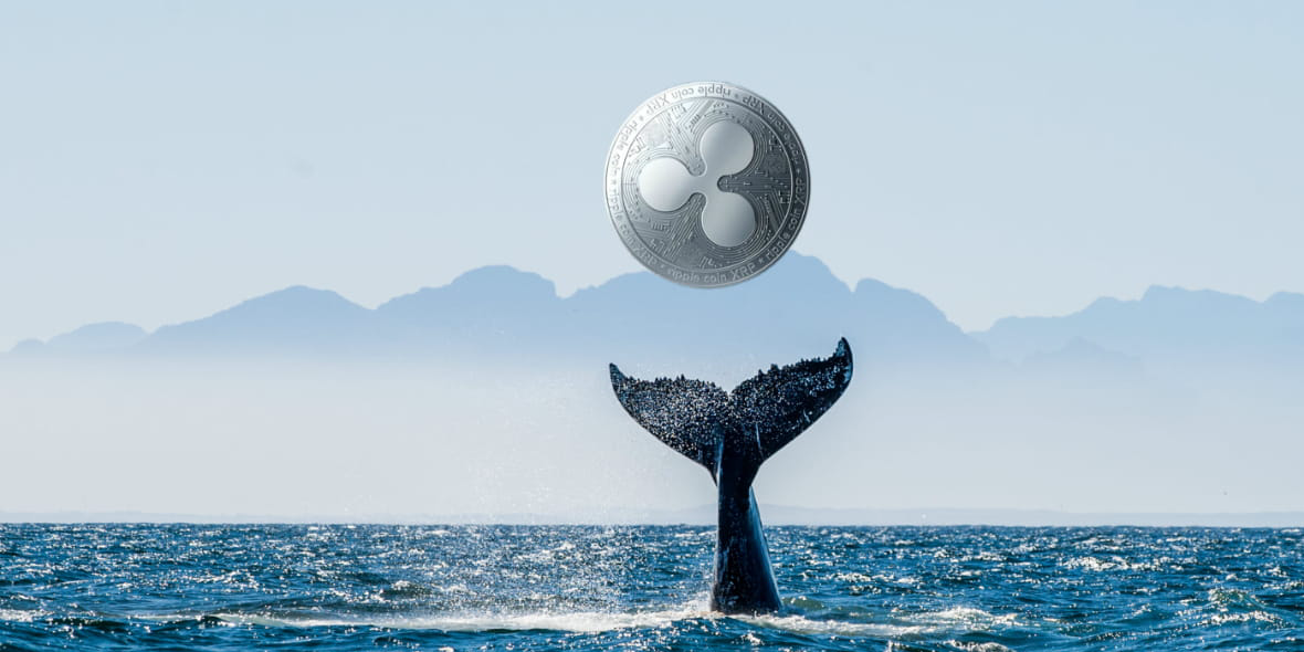 XRP, Ripple A whale