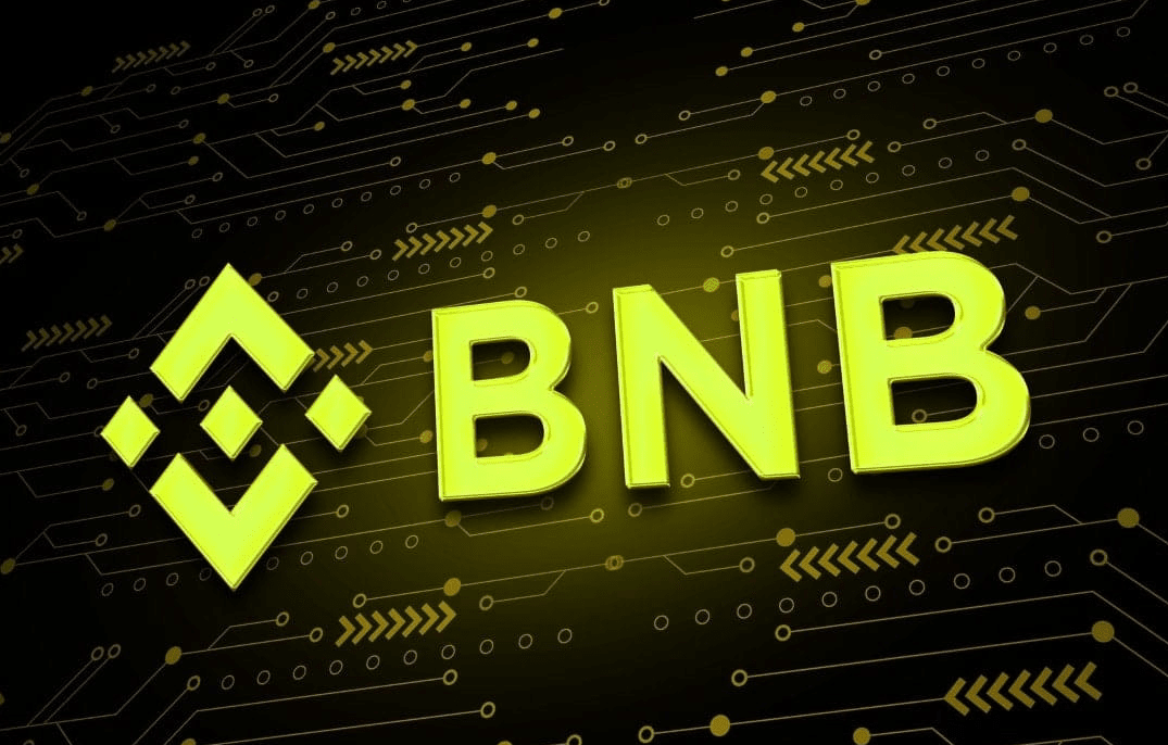 Binance Coin (BNB)