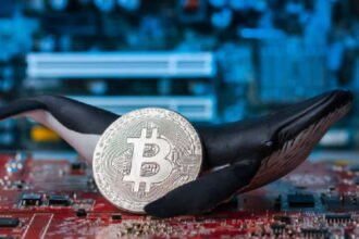 Bitcoin whale movement