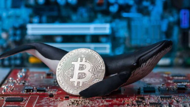 Bitcoin whale movement