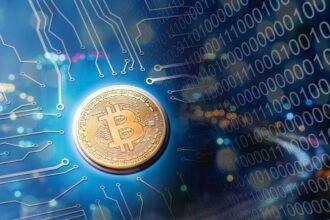 2025 Bitcoin scams